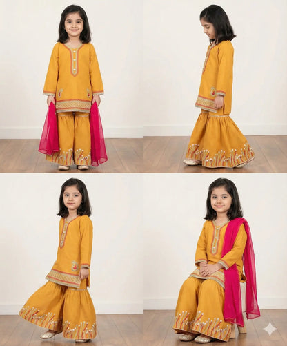 Lush and Loop Baby Girl Embroidered Dress - Lush and Loop