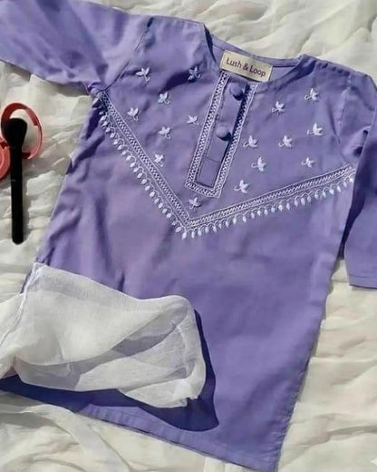 Lush and Loop Baby Girl Embroidered Dress - Lush and Loop